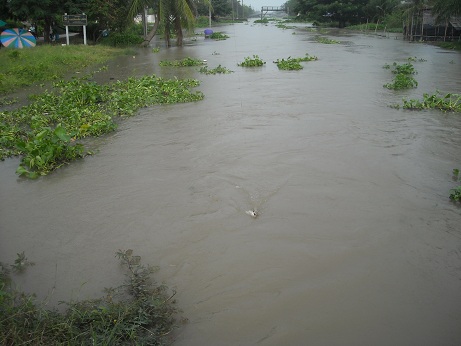 น้ำ มันจะรีบไปไหนก็ไม่รู้ ฝนก็ตก
แต่อะไรลอยน้ำมานะ
ปลานี่ว่า