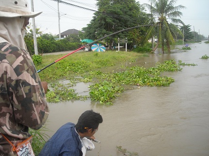 ถ่ายรูปหมายยังไม่หมดพวกเล่นก่อนเลย
 :shocked: :shocked: :shocked: :shocked: :shocked: