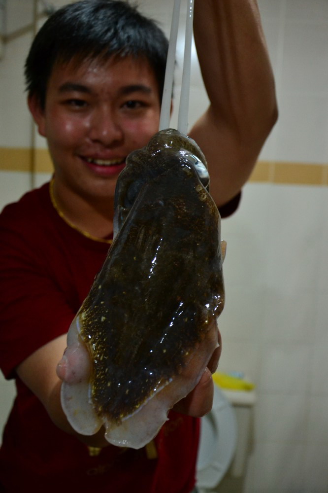 บอกได้ว่า สุดยอดมากกกกกกกกกกกกกกกก  :laughing:
