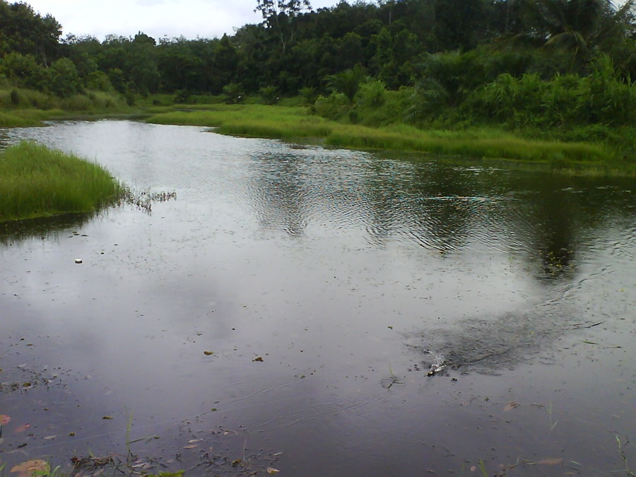 แห้วครับวันนี้ ฝนก็ตก :grin: :grin: :grin: