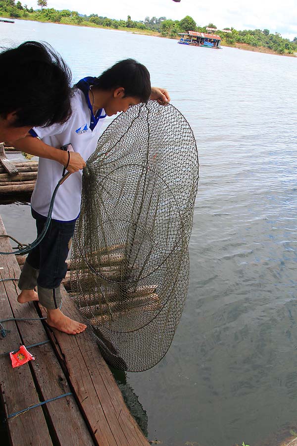 
  น้าหนึ่งสำรวจปลาที่ตกมาได้ในกระชังที่หญ่ายมักๆ .............. :grin:


  :cheer: :cheer: :che
