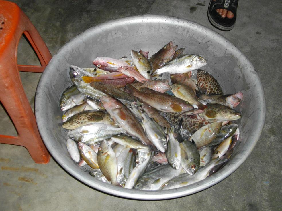 ของ.....อร่อย ทอดกรอบ  :umh: :umh: :umh: :umh: