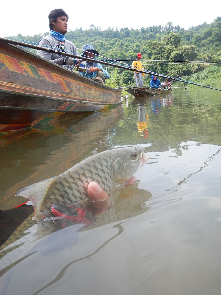  [b]มีพบก็ต้องมีจาก....ปล่อยมันข้างเรือนี่แหล่ะ[/b]