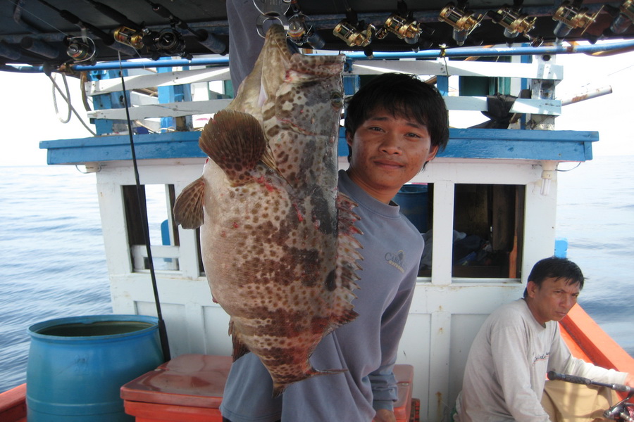 ตัวนี้น้องๆลูกหมูครับ :grin: