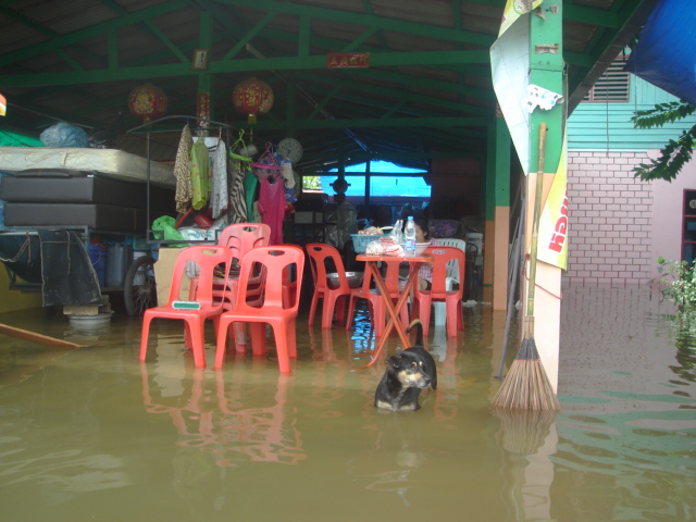 9 ชั่วโมง น้ำมาแค่นี้ครับ บ้านผมสูงกว่าถนน 90 เซ็น
 :sad: :sad: :sad: :sad: :sad: