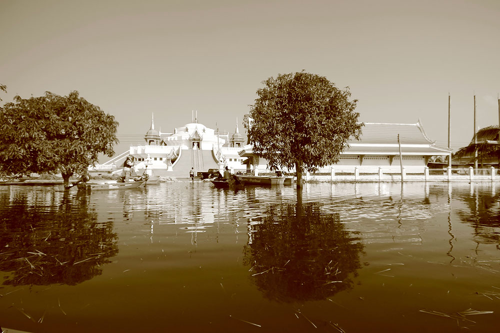 เรือของเราเป็นเรือลำสุดท้ายที่จะขึ้นเทรลเลอร์
ผมจึงเก็บภาพไปพลางๆ