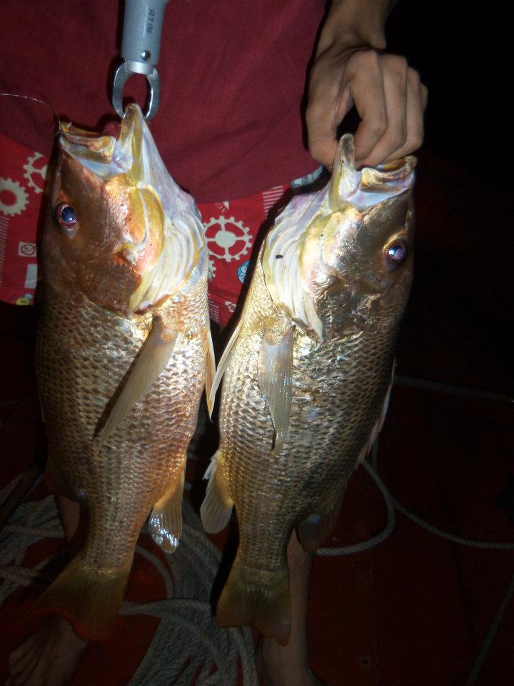 และแล้วก็ได้อีก ตัว :kiss:  
