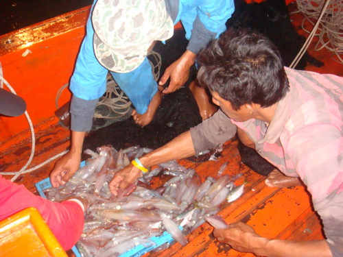 ช่วยกันๆ :cheer: :cheer: :cheer: