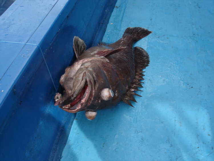 รับขึ้นเรือ :umh: :umh: