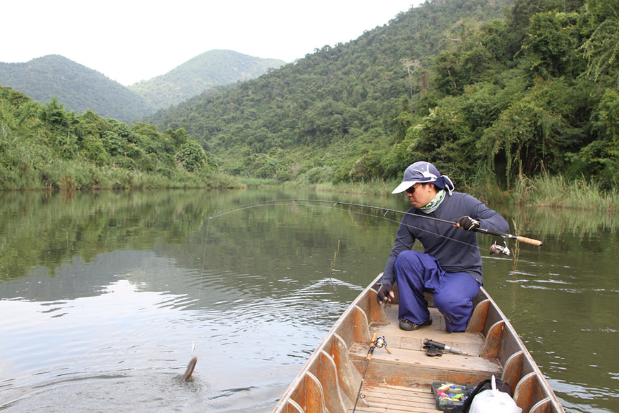 
   อีกยาวแน่......... แรกๆเรานับตัว แต่แล้ว.... ไม่นับแล้ว  ลอยเรือไปตรงไหนก็โดน  :love: