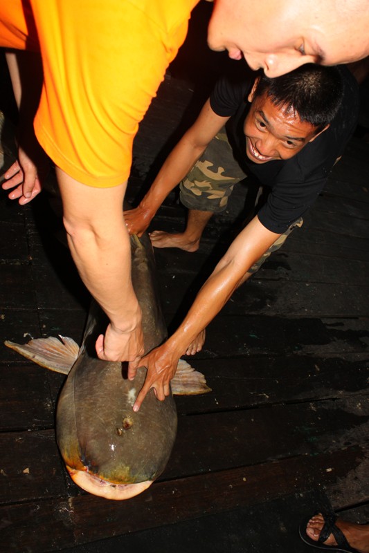 หลุมวิลลี่ :laughing: