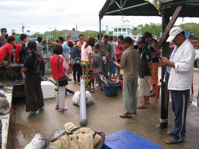 ...ที่ท่าเรือปากบารา..มีคนมามุงดูปลาผมเยอะเชียวครับ...
...ถ่ายรูป..สอบถามกันใหญ่...
...วุ้ยๆๆๆๆๆๆ.