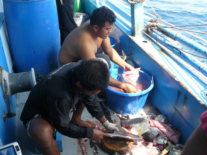 น้าเอ๋ : ก่ะแล่ กันให้วางเต็มหลังคาเรือ เลยหรือ เพ่ Korn 