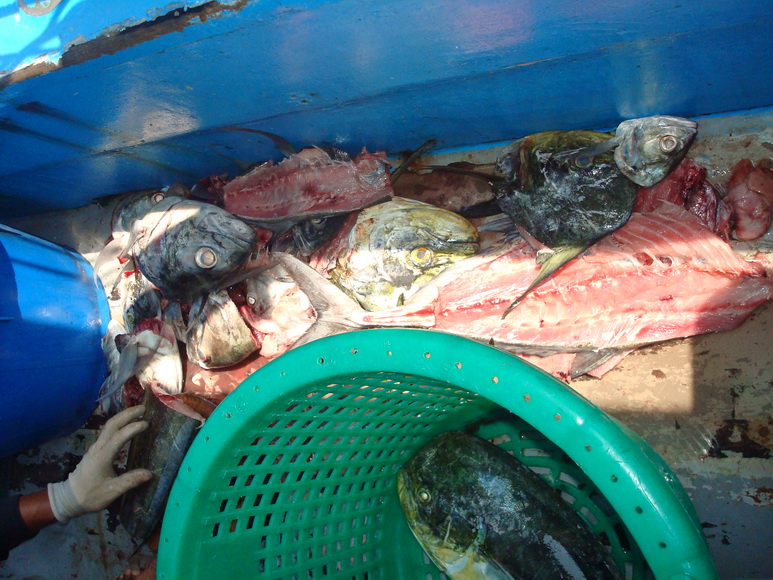 เพ่ Kron เล่นเอาแต่เนื้อเน้นๆ