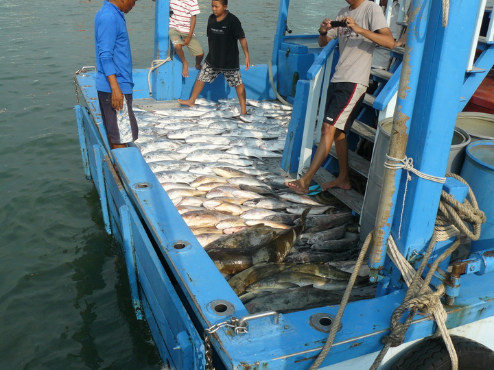 ภาพมุมสูงจากบนสะพานท่าเรือ