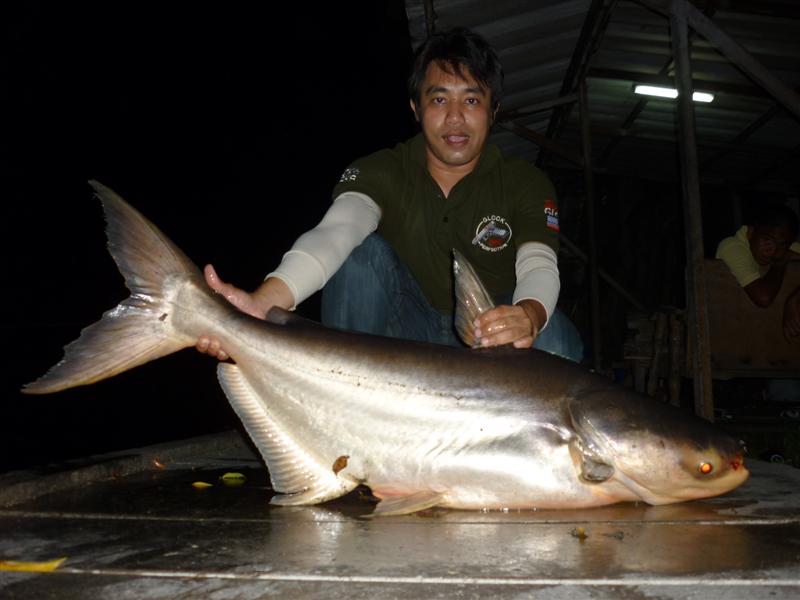 ตาอู๊ดบอกไซส์นี้สักหน่อยๆ :smile:
