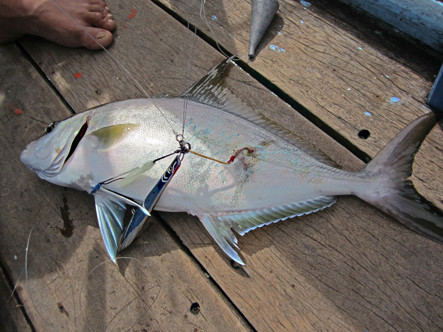 เป็นAmberJack อีกแล้วครับ HOT จริงๆ :umh: :umh: