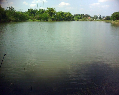 ช่อนหลังบ้านครับ