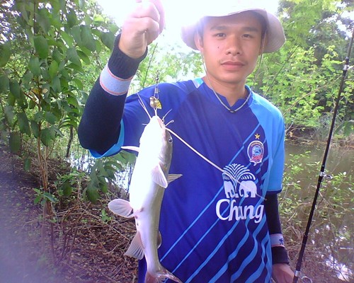 กด ตัวนี้เอากับเค้าด้วย
 :cheer: