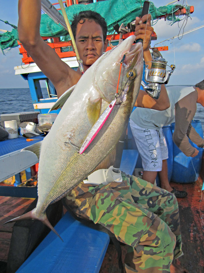 Amberjack อีกแล้วครับ ตัวนี้กินเหยื่อจิ๊ก7Sea twister 130g  :love: :love: