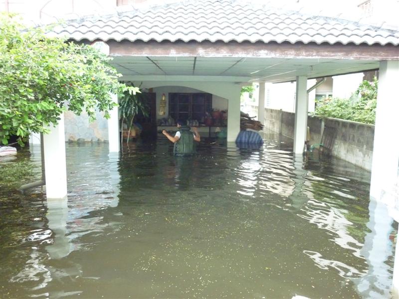 ข้างในมีสุนัขอยู่สามตัว