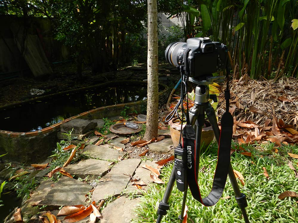  [b]การถ่ายภาพ Time-Lapse นั้นทำอย่างไร เอาแบบง่ายๆคือ การถ่ายมุมเดิมๆ ซ้ำๆ โดยที่เราต้องการเห็นการเ