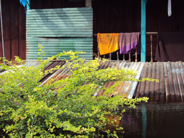 ดูภาพระหว่างทางที่นั่งเรือ
 
 มันเกินเยียวยาจริงๆ

เป็นกำลังใจให้ครับ



 :cry: :cry: