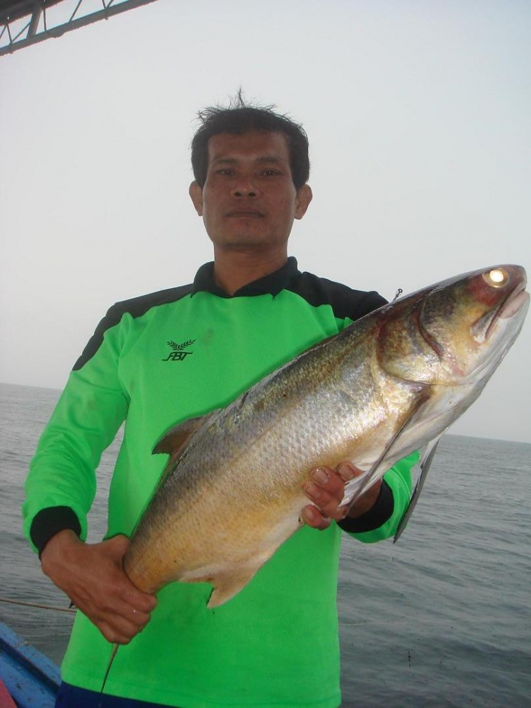 ขอหล่อกับกุเราไซด์หญ่ายมากซักหน่อยย
 :cheer: :cheer: :cheer: :cheer: