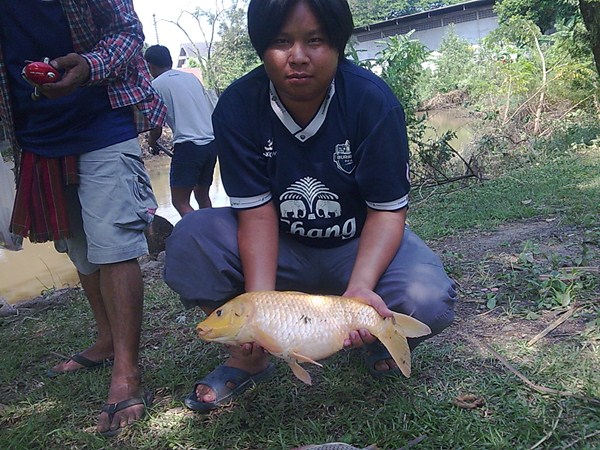 ขอหล่อ 1 ถาพ 555+