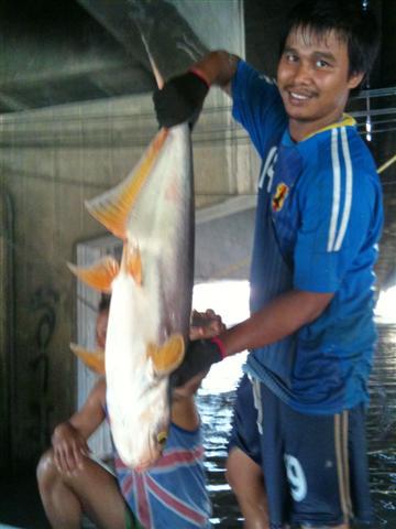 ตัวเล็กตัวใหญ่
