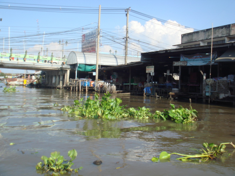 สัปดาห์ที่แล้วน้ำปริ่มคานไม้พื้นตลาดครับวันนี้ลดไปพอสมควร ผักตบชวาไหลมาตามคลองพอสมควรครับ