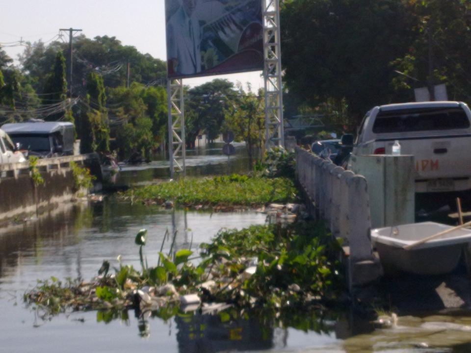 บางจุดเป็น คอสะพานสูง ผมต้องลงเรือเข็นข้าม ให้พ้นสะพาน 