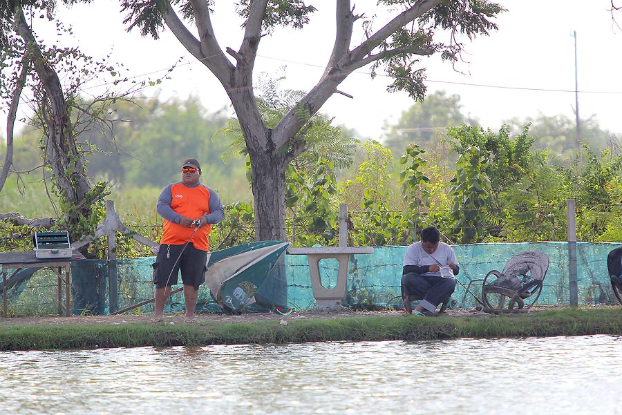 
 [b]นิชคุณ   ฝันร้ายจากปากน้ำ[/b]

 :grin:
