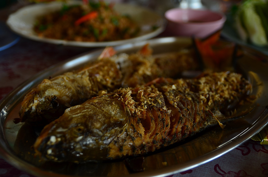 รับรางวัลกันเสร็จก็รีบบึ่งเรือกลับแพน้องแอนครับ หิวข้าวมาก กว่าจะรับรางวัลเสร็จก็ราวๆบ่าย3 ข้าวไม่ได