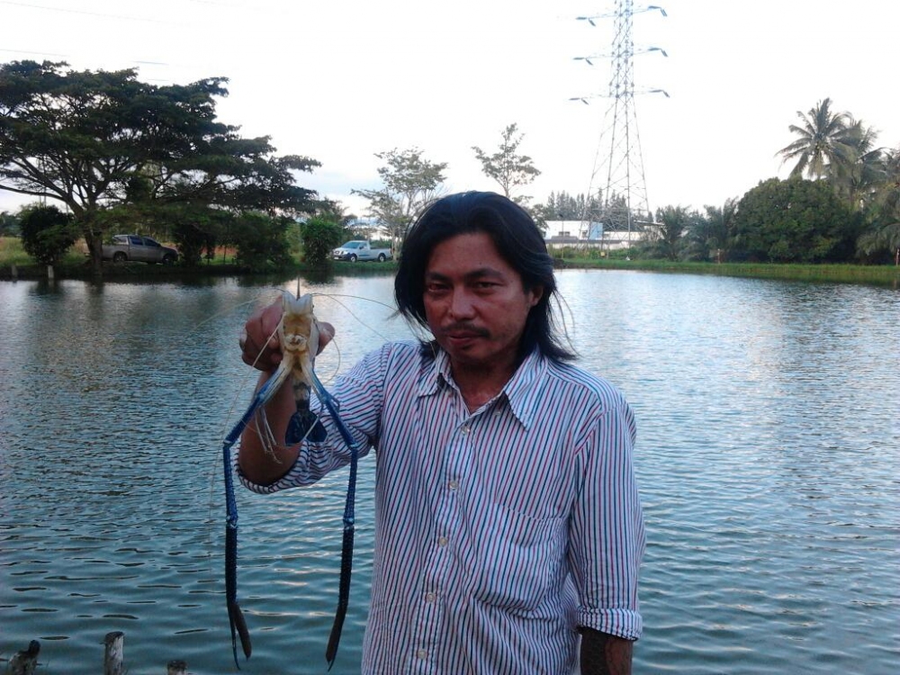 ตกปลาได้กุ้งครับ :cheer: