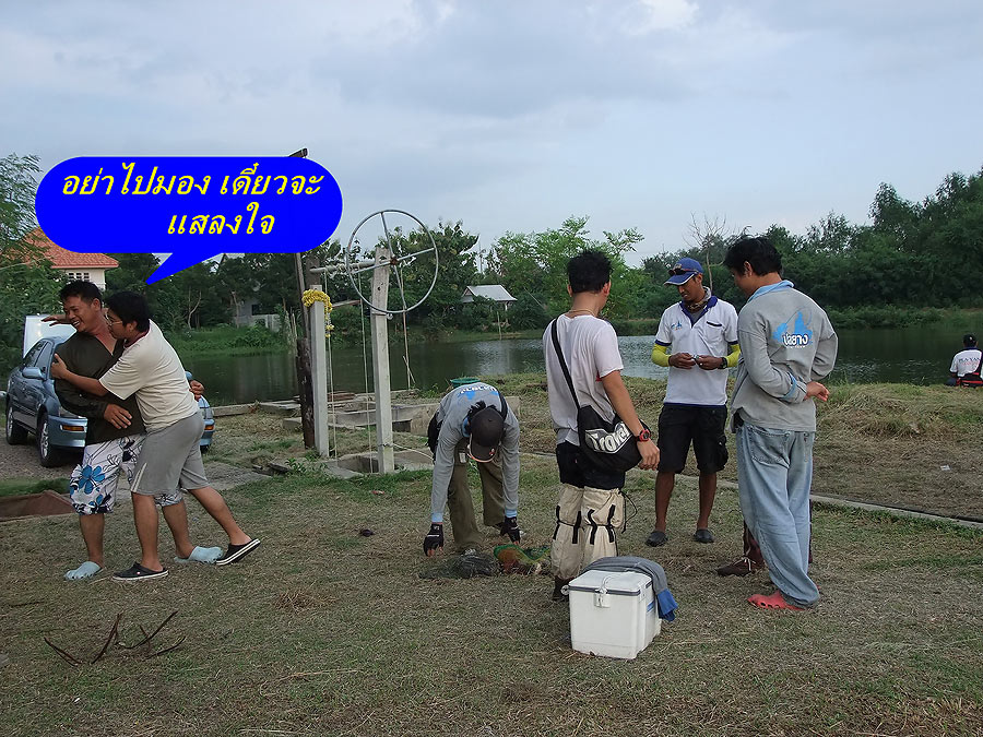 [b]ด้วยความที่ ปลาช่อนเยอะๆ น้าแดงปลายาง กลัวว่า น้าหนุ่มปลายาง จะรับไม่ได้ จึงต้องกันไม่อยากให้เห็น