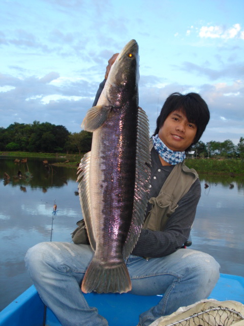 ขอหล่อมั่งครับ  :cheer: :grin: :grin: