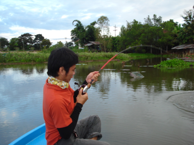 ลากันด้วยภาพนี้อีกครั้งแล้วกันนะครับ ได้อารมณ์ดี  :laughing: :laughing: :laughing: :grin: :cheer: