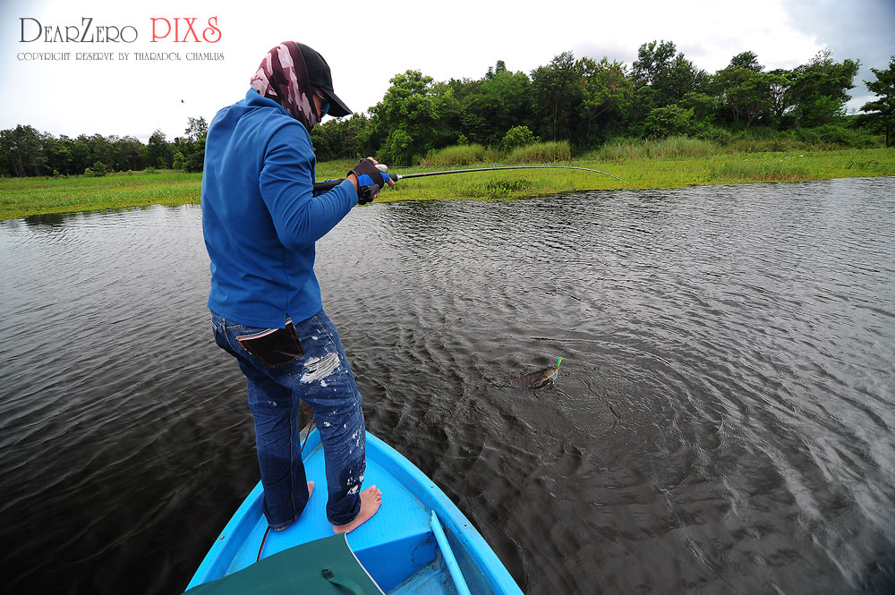 สวัสดีครับน้า sukda_s /juju

 [b]งัดขึ้นมา ไชค์เดิม  ตอนแรกนึกว่าตัวใหญ่ครับ อิอิ [/b]