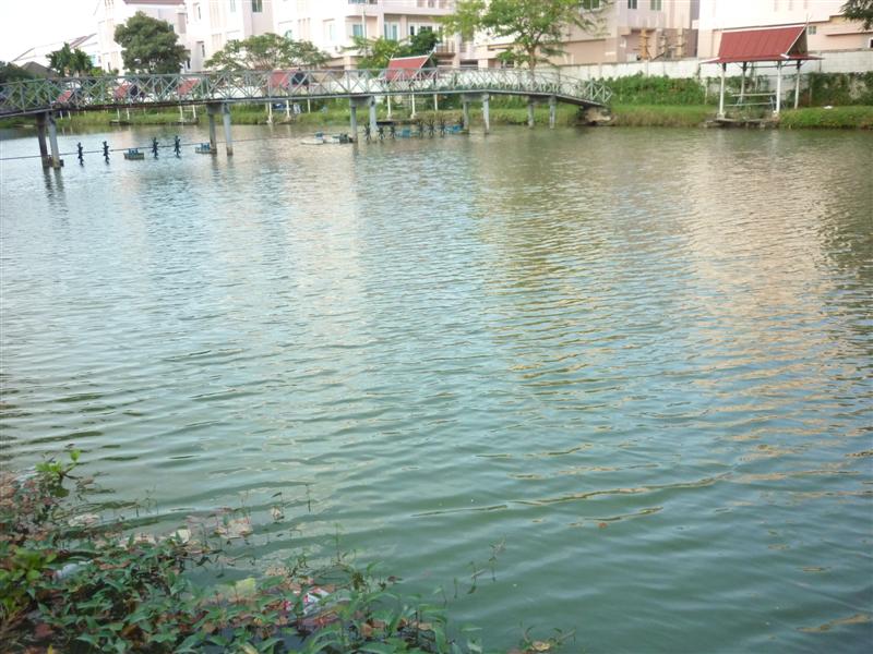 ชมภาพบรรยากาศของบ่อชลสินก่อนกลับครับ 