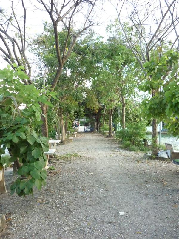                                [b]    ลมเย็นๆเหมือยลมหนาวพัดโชยเอื่อยๆ หนาวนี้ช่างจะต่างจากหนาวปีที่