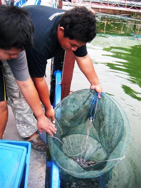 ตอนเช้าต้องรีบกลับบ้านครับ เพราะว่าข้างบ้านโทรมาบอกว่า น้ำจะเข้าบ้านแล้ว  :sad: :sad: :sad: :sad: :s