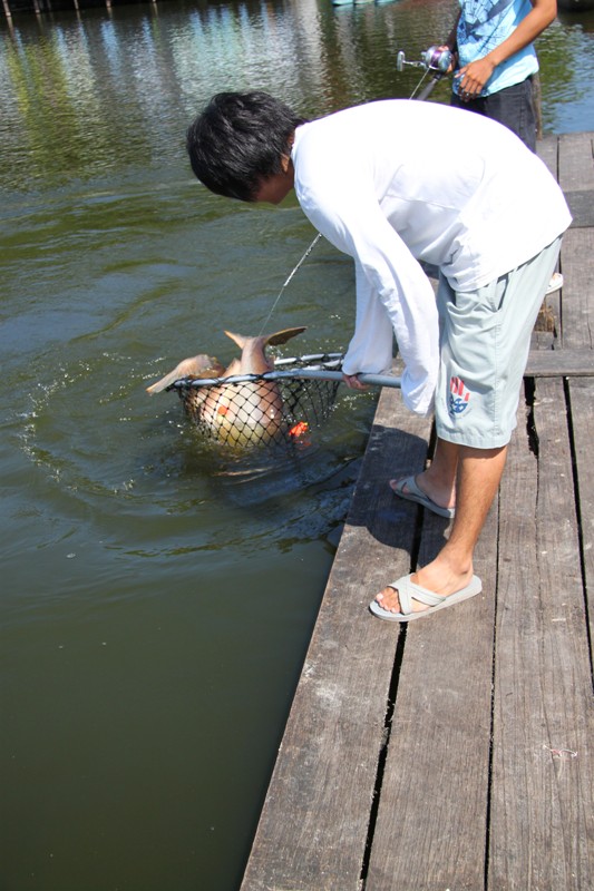 ปลาทู