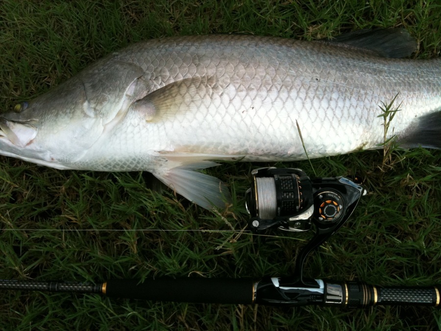 Morethan Branzino Day Breaker Custom 8' 2" + Exist Hyper Branzino Custom 2508R , pe 1
 :grin: :gr