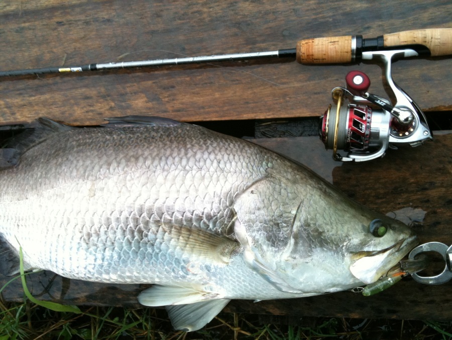 Temujin The Brushstinger 6' 6" , 4-12 lb + Exist  Hyper Custom 2508 , ZPI handle , spoon RCS 2506
