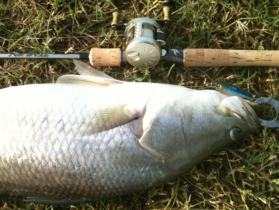 Temujin The Gazelle 6' 3" , 6-12 lb + Shimano Cardiff 50SDC pe 0.8
 :grin: :grin: :grin:
