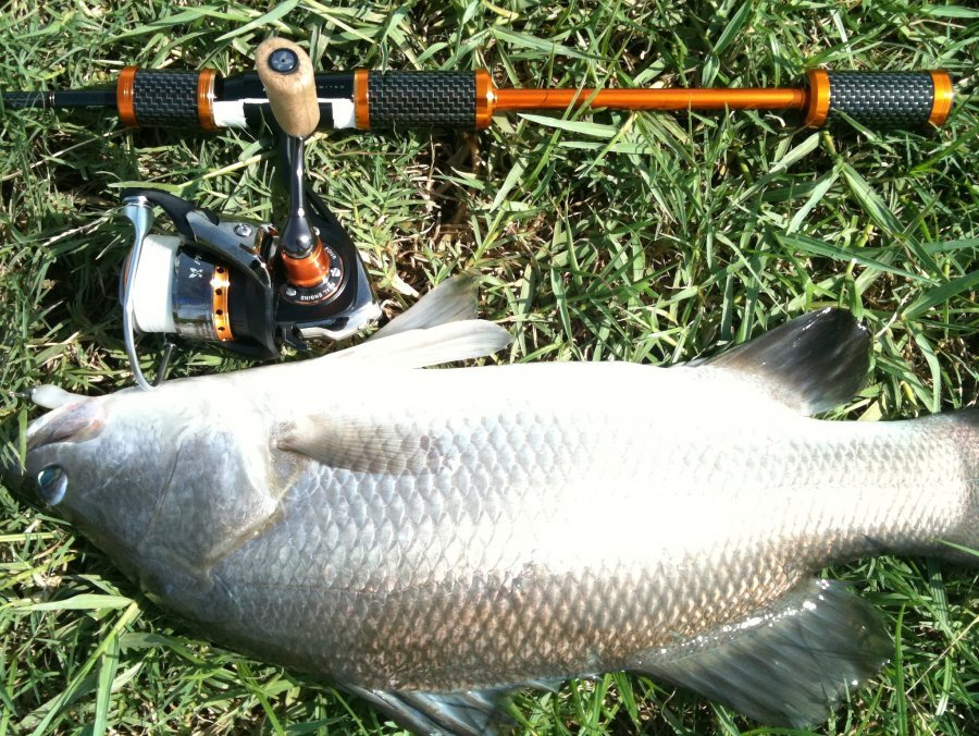 Presso-LTD AGS 7'4" , 1.5-3 lb + Spin Presso 1003 , pe 0.4 for light game fish.
 :grin: :grin: :g