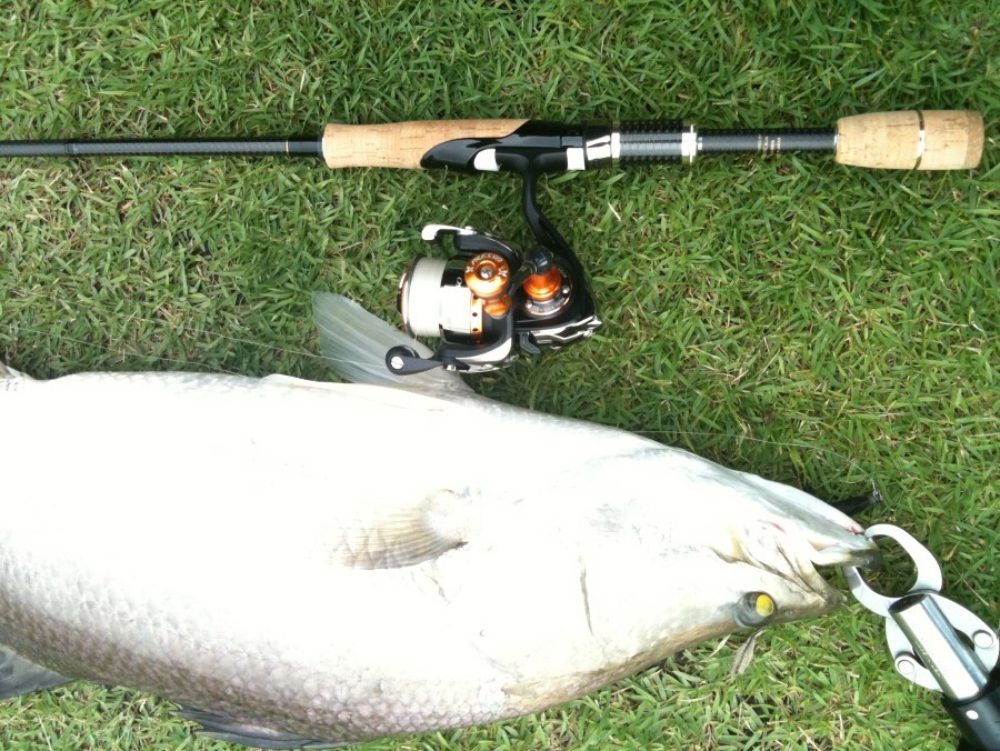 Graphiteleader  Vittoria 6'4" , 2-6 lb + Presso 1003 , Presso limited handle , pe 0.4
 :grin: :gr