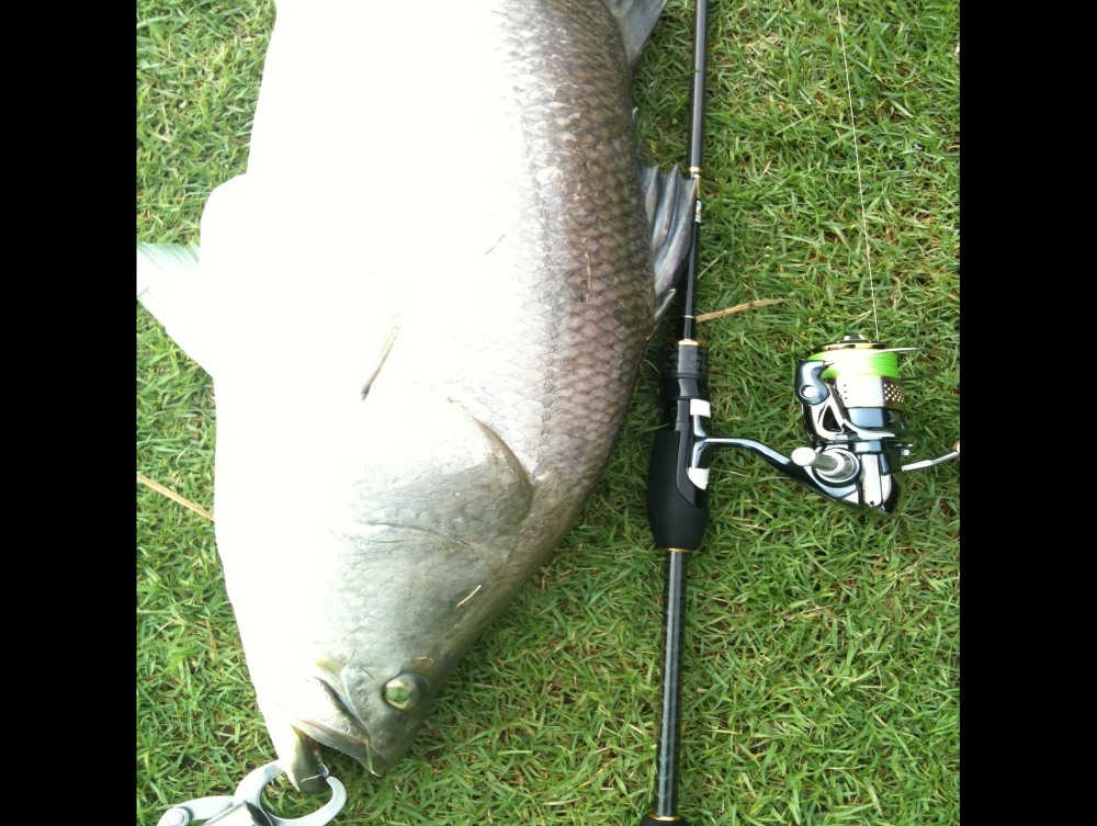 Evergreen Poseidon Salty Sensation 2-5 lb + Stella 2500HGS , pe 0.8
 :grin: :grin: :grin: