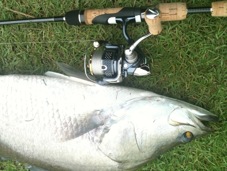 Temujin Kaleido " The Cut In Shake " , 6'1" , 3-8 lb + Stella 1000s , Yumeya C2000 limited spoon